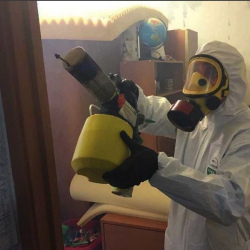 Уничтожение клопов в квартире. Довольное
